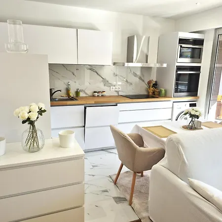 Superbe Appartement Luxueux Spacieux 50 M2 Port Nice Exterior photo